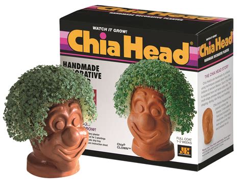 personalized chia pet|custom chia pet.